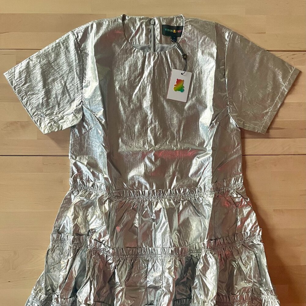 Teddy Fresh Silver Metallic Midi Dress